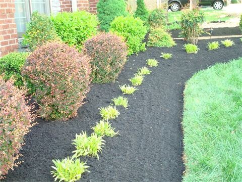 A H Lawn Care And Landscape, Landscaping Services Franklin Tn