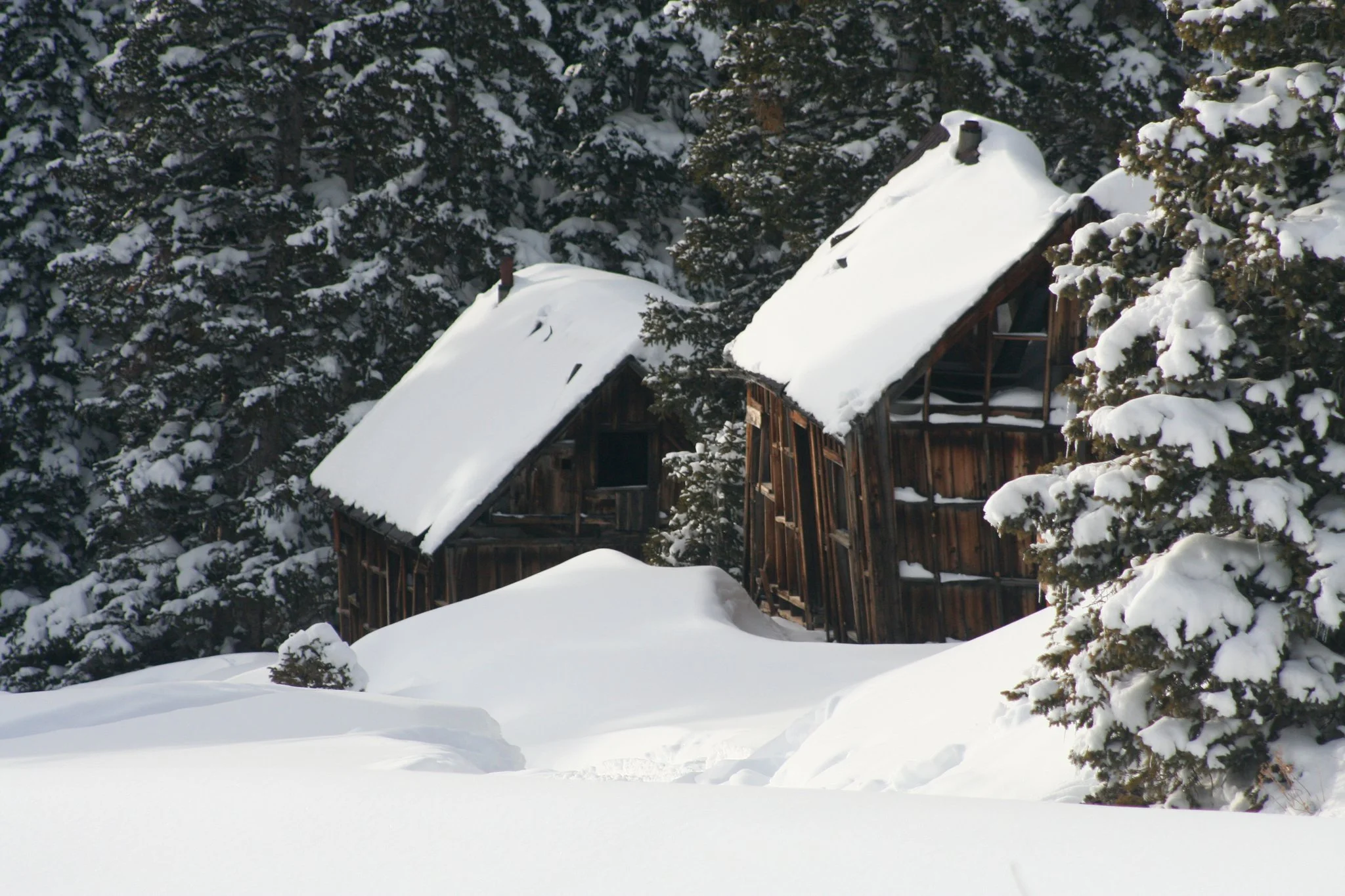 Alta Ghost Town Snowmobile Tour