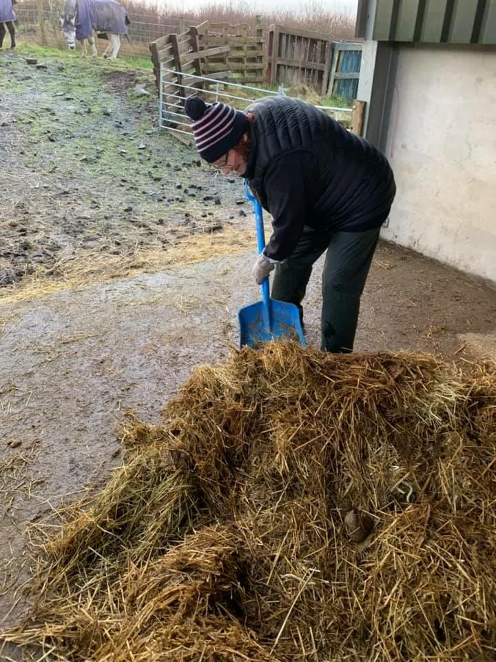 Wait, this Feels Familiar