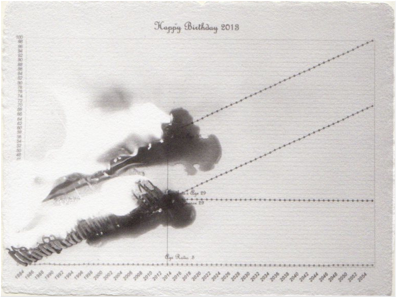 hb2013-005-border.jpg