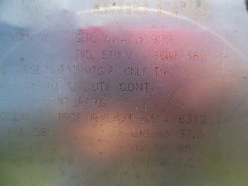 907296583.jpg