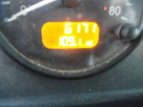 1173230884.jpg