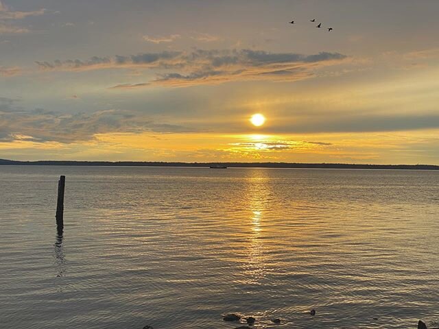 Hidden boat.  Snapped this last night. Great idea to have some dinner here and watch the sunset @miss_katie.b !#bellinghamsunsets #iphone11pro #marinepark