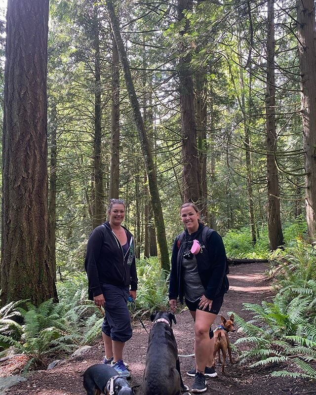 Katie&rsquo;s bday hike on Chanterelle trail!  Happy birthday @miss_katie.b !  Looking forward to many more of these!! #hikepnw