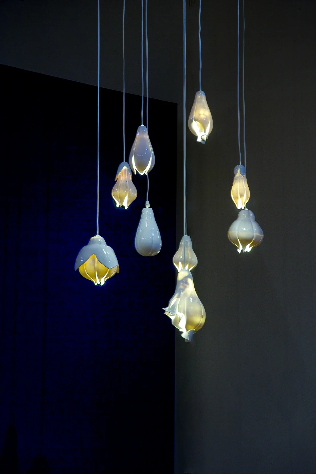 Luminous Detail