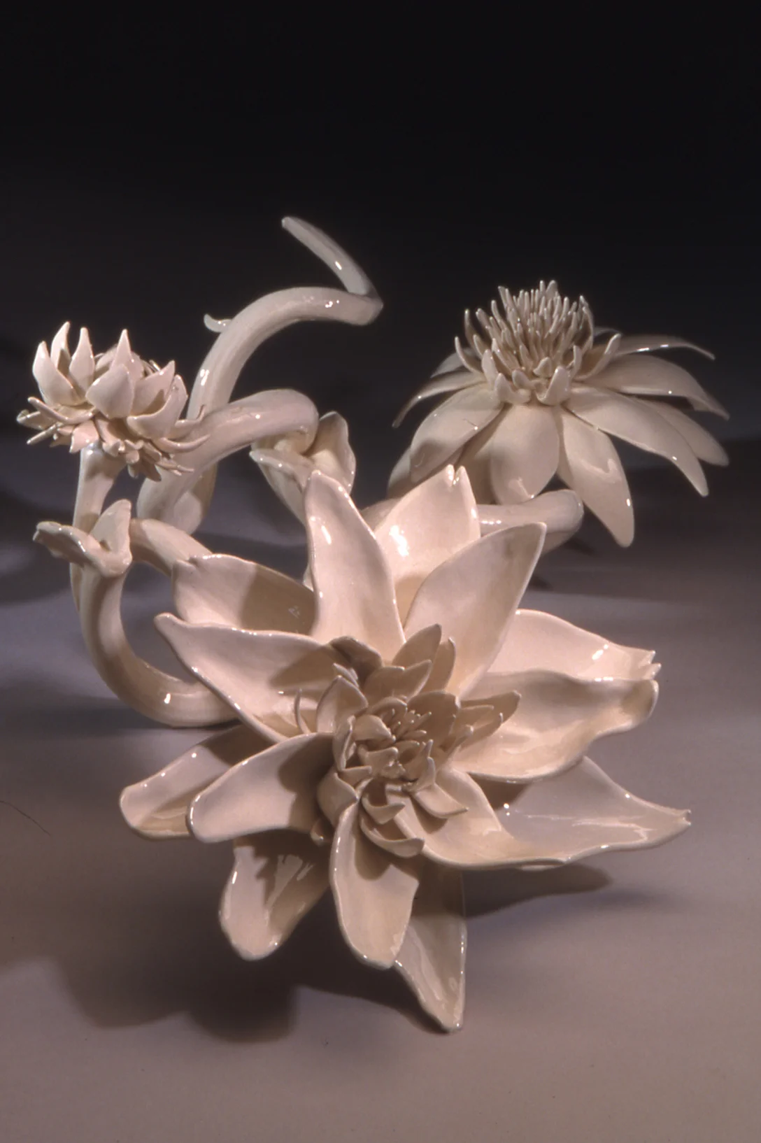 Triple White Zinnia