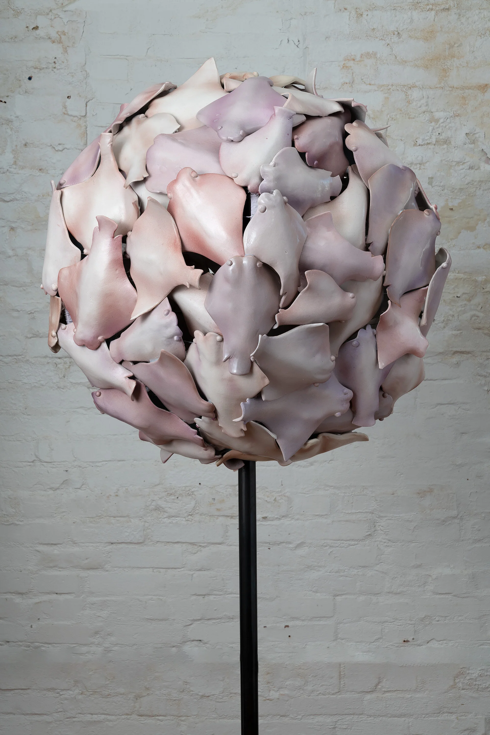 Stingrays, Detail