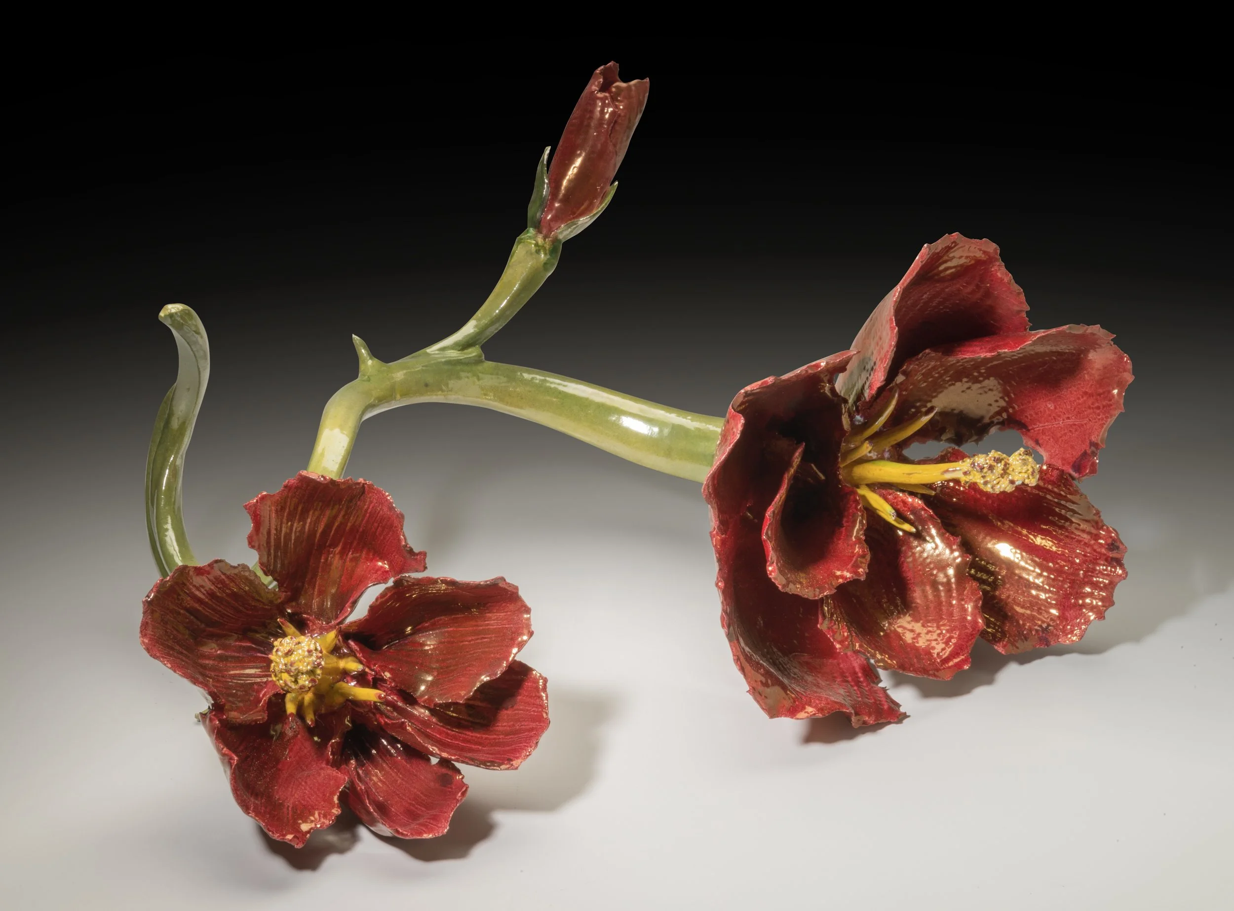 Double Red Hibiscus