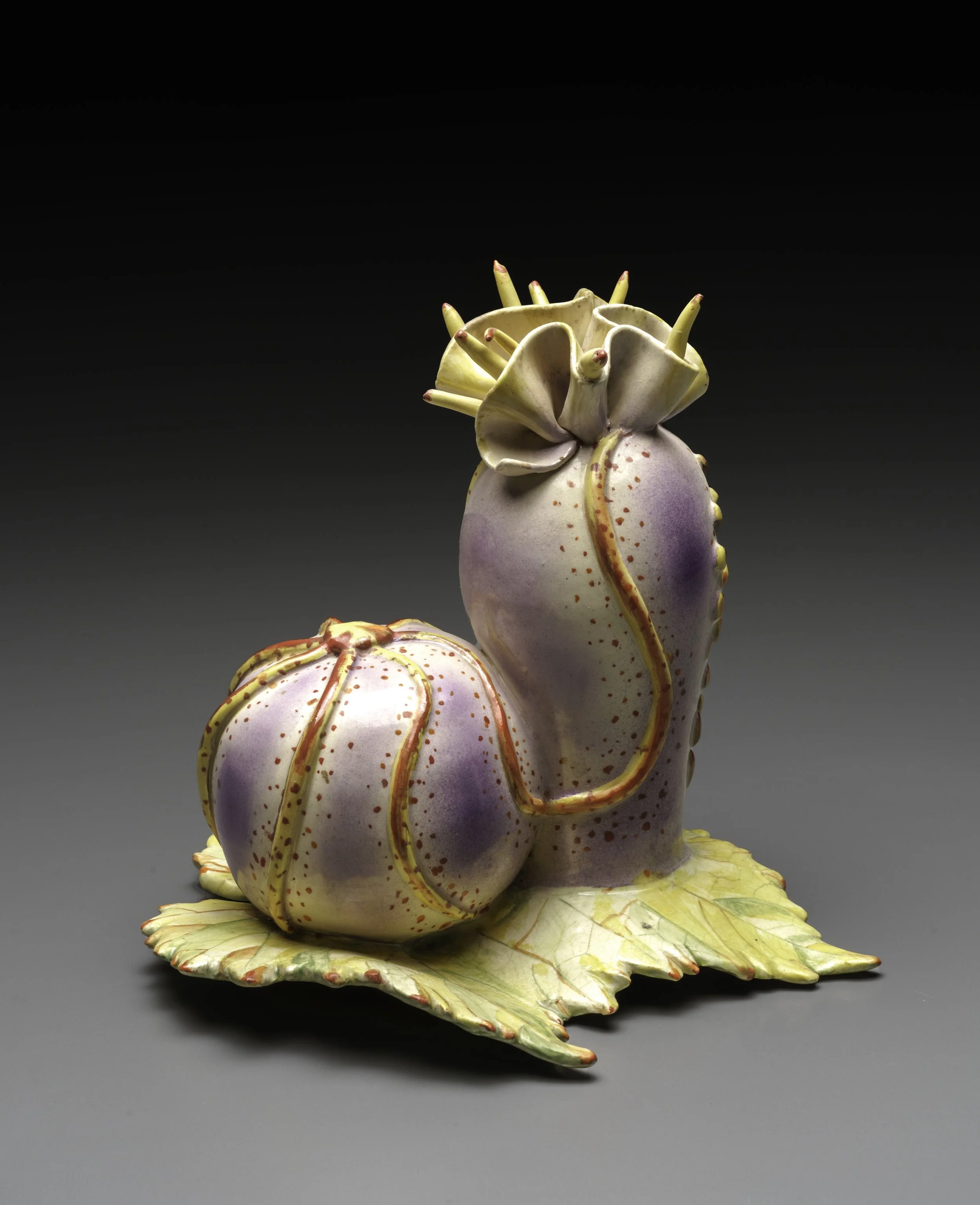 Sea Snail