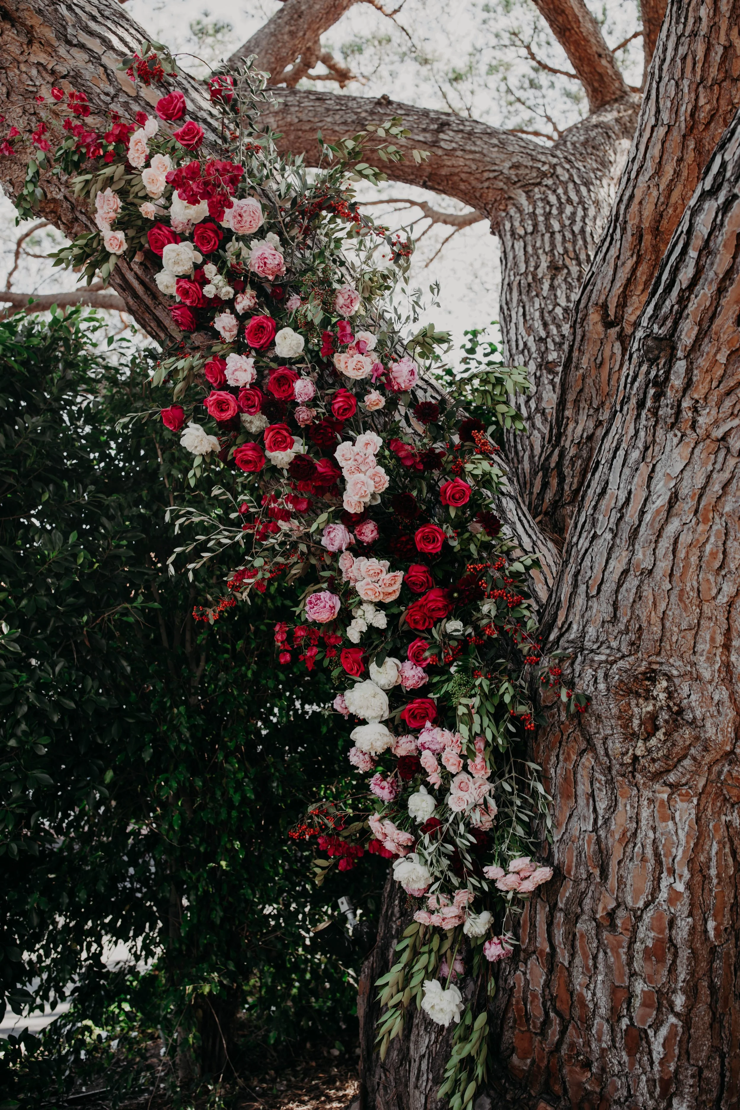 santabarbaraweddingceremonytree.jpg