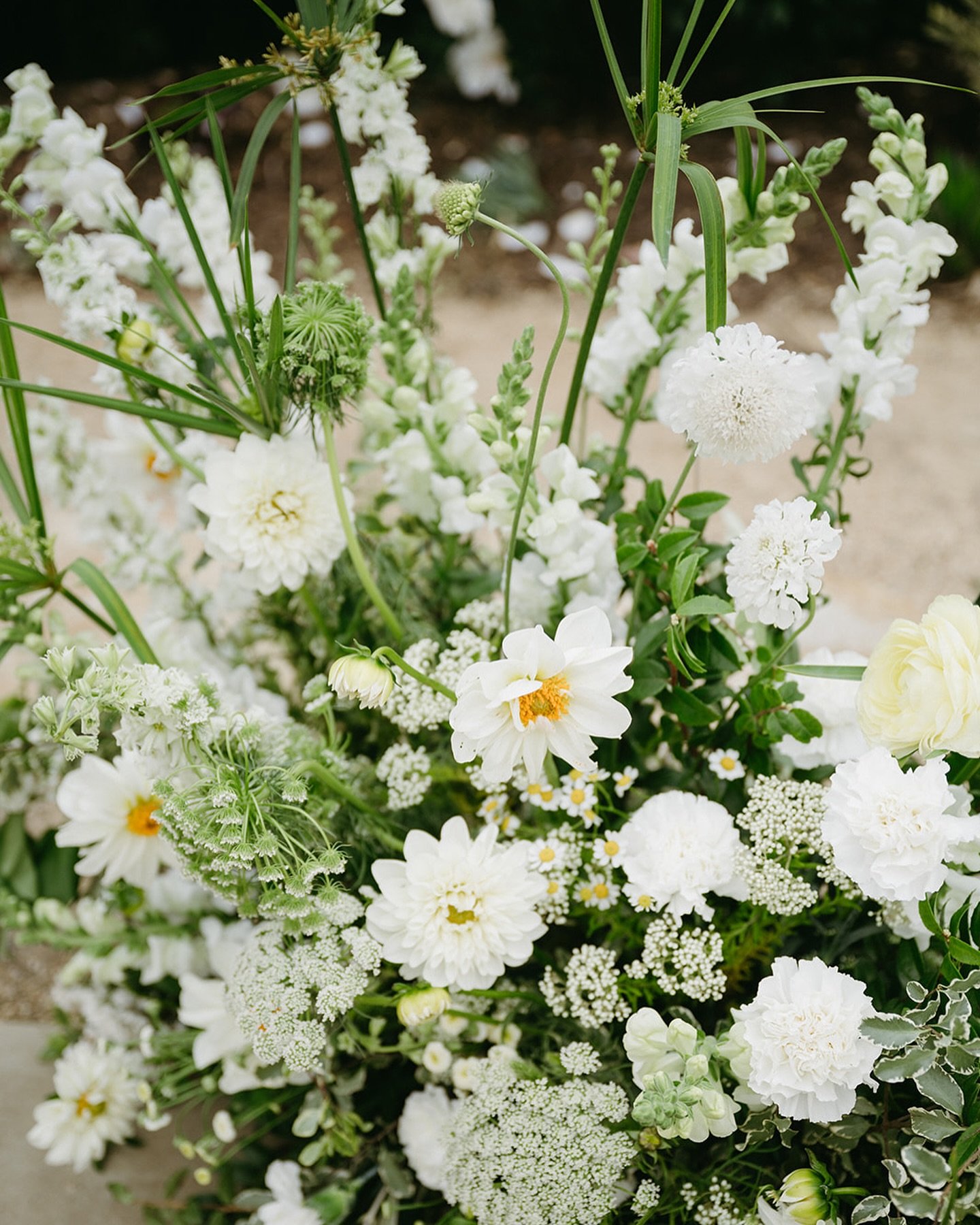 Timeless, but make it wild.

Photo: @sharonko_photo 
Planning: @homegrowneventco 
DJ: @deejayedu 
Venue: @theoceanviewfarm
Rentals: @otisandpearl @venturarental 
Catering: @losarroyosrestaurant