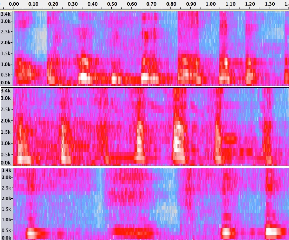 Spectrograms of 3 spontaneous laugh samples produced by participants in one of our studies (Wood, in prep). Notice the differences across the laughs—laughter takes many forms!