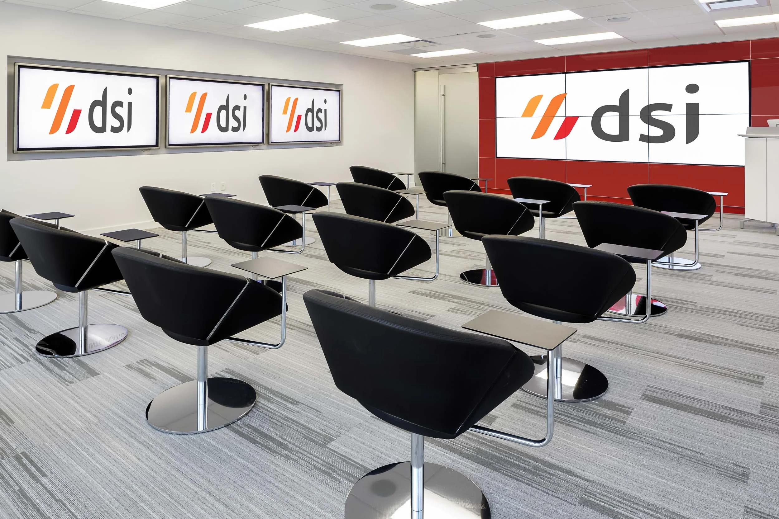DSI-09.jpg