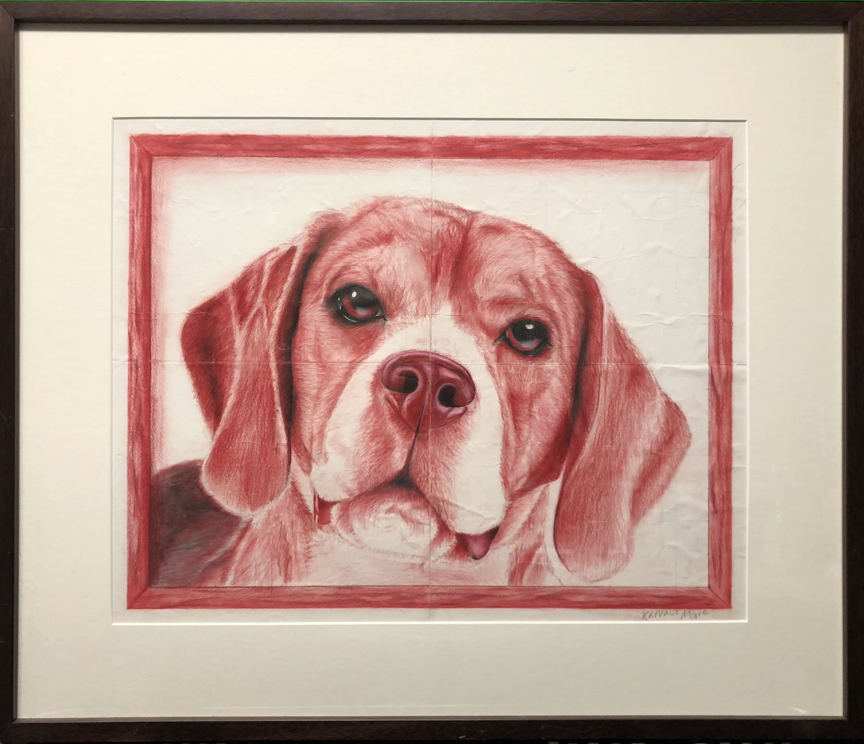 “Red Beagle” 2016Color pencil on paper, 18 in x 24 in