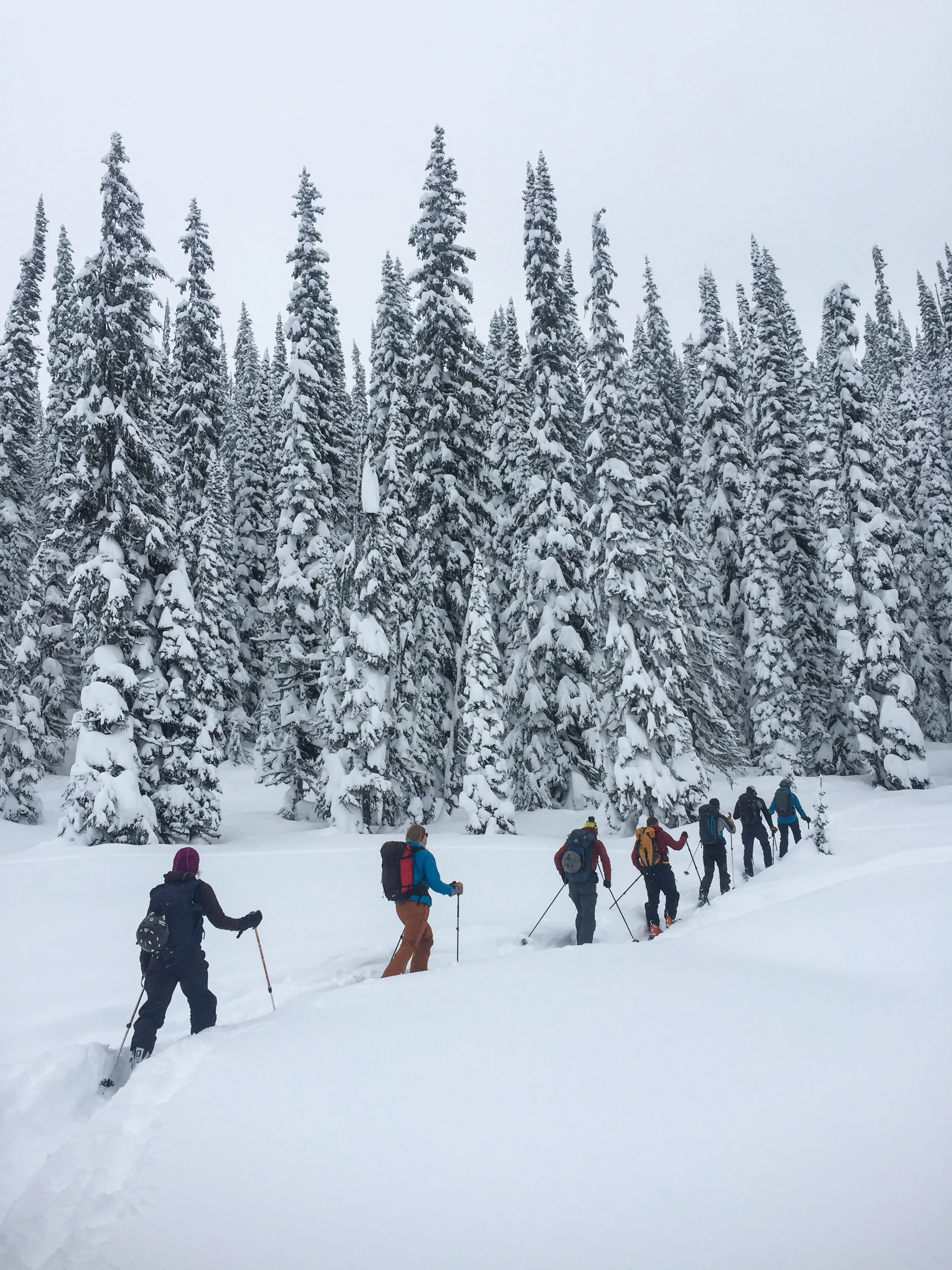 Revelstoke OSI-46 copy.jpg