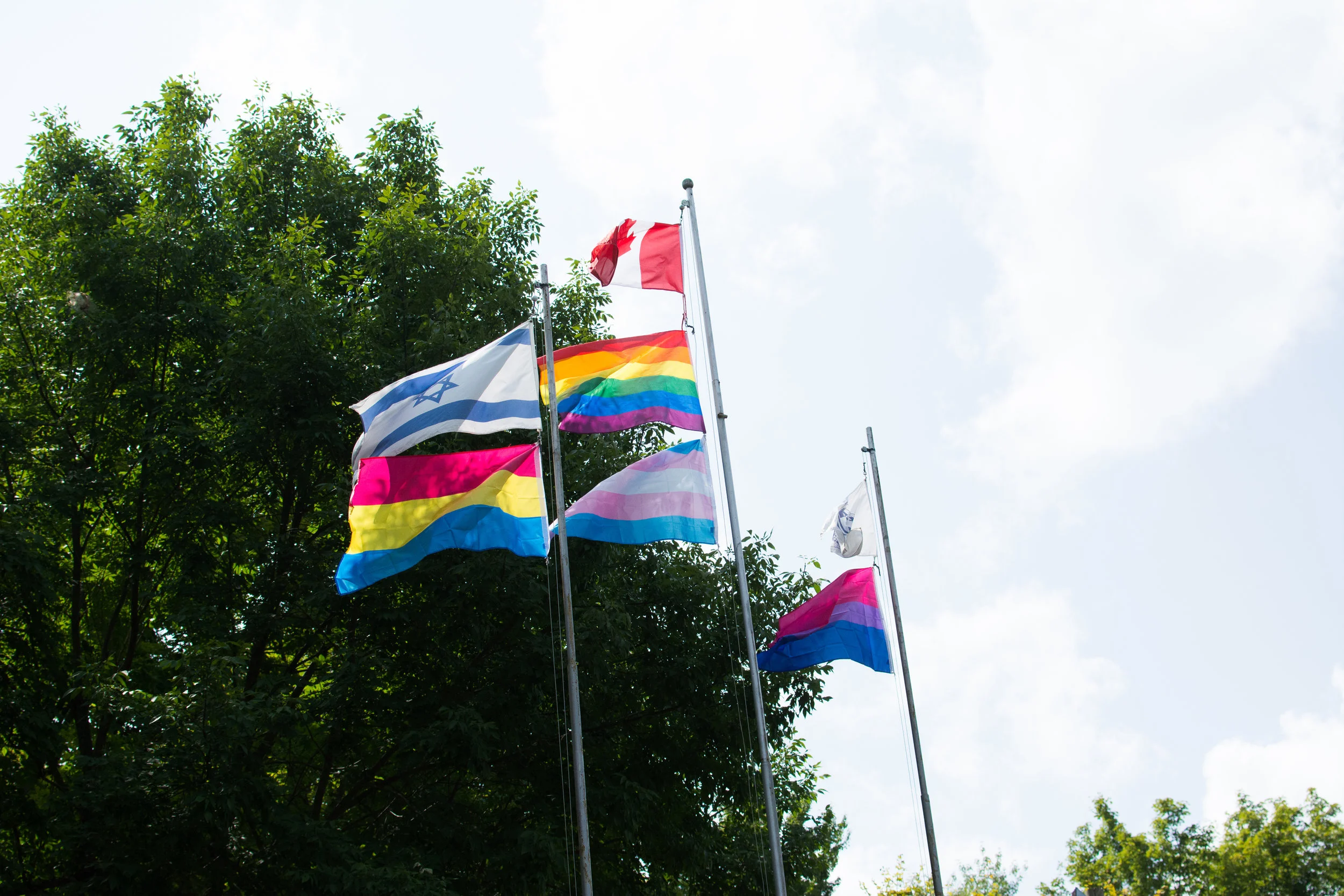 Flags.jpg