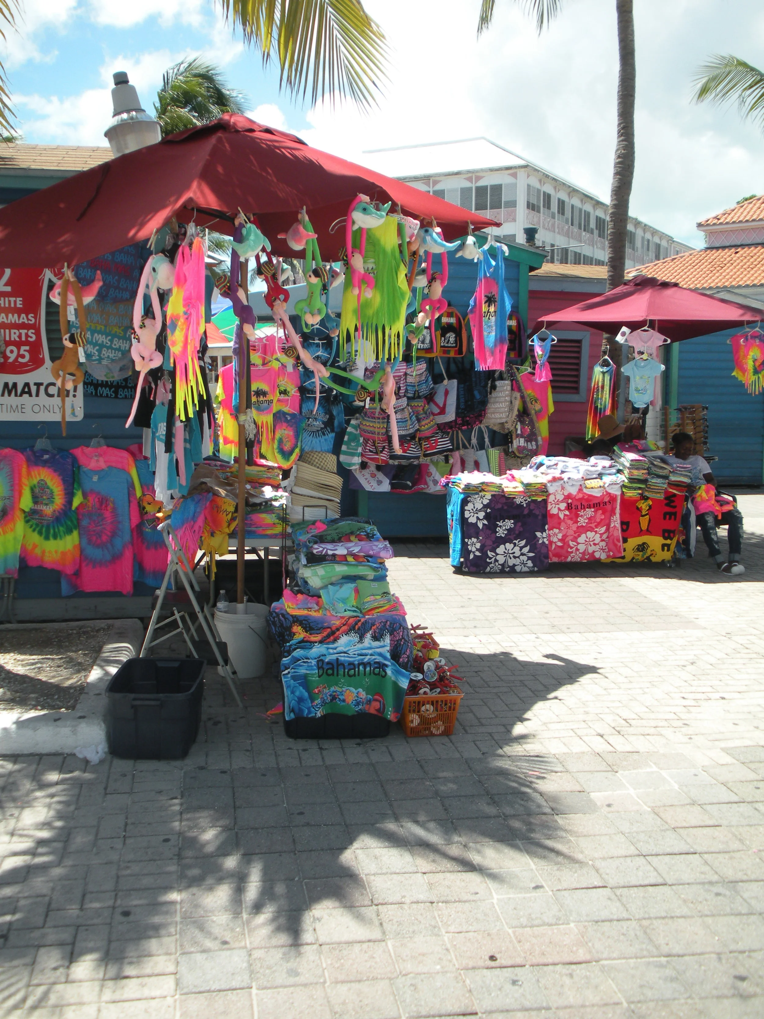 DSCN0619.JPG