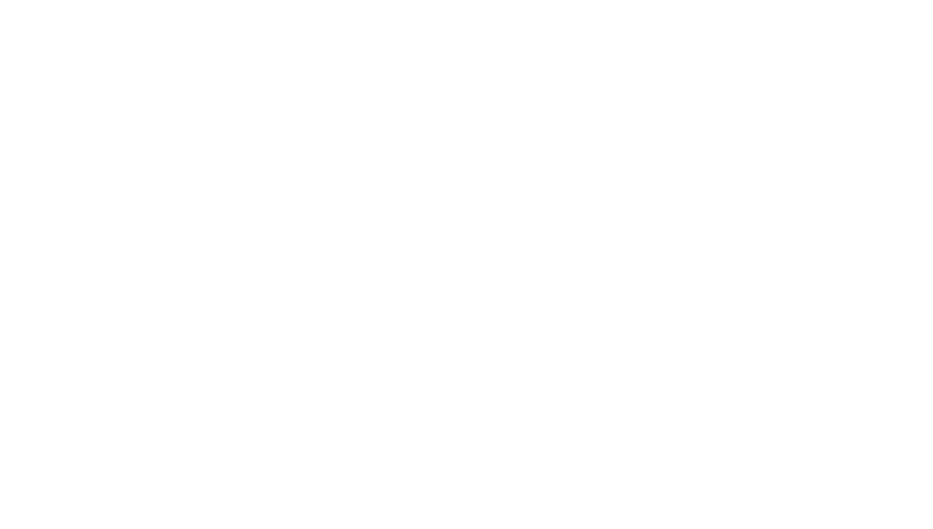 avia.png
