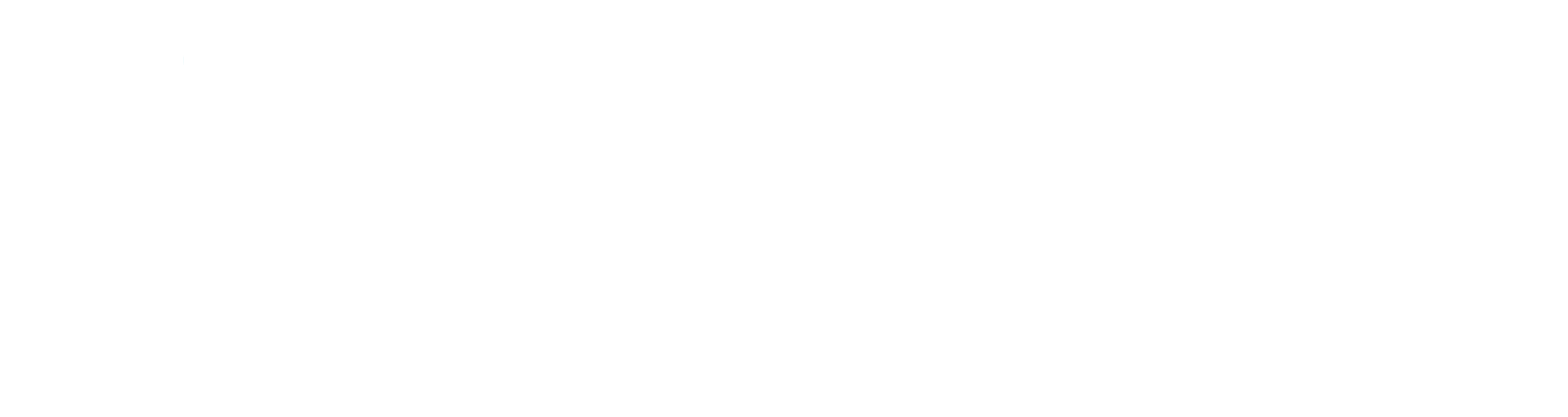 Destinato white white.png