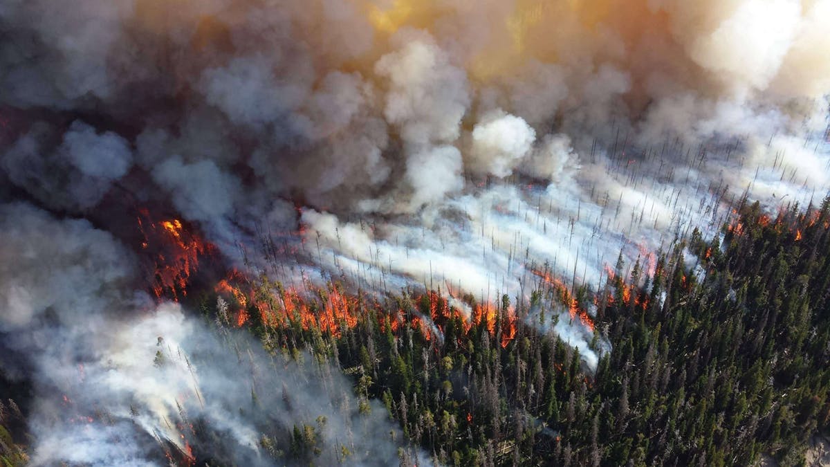 forest-fire-1161868.jpg