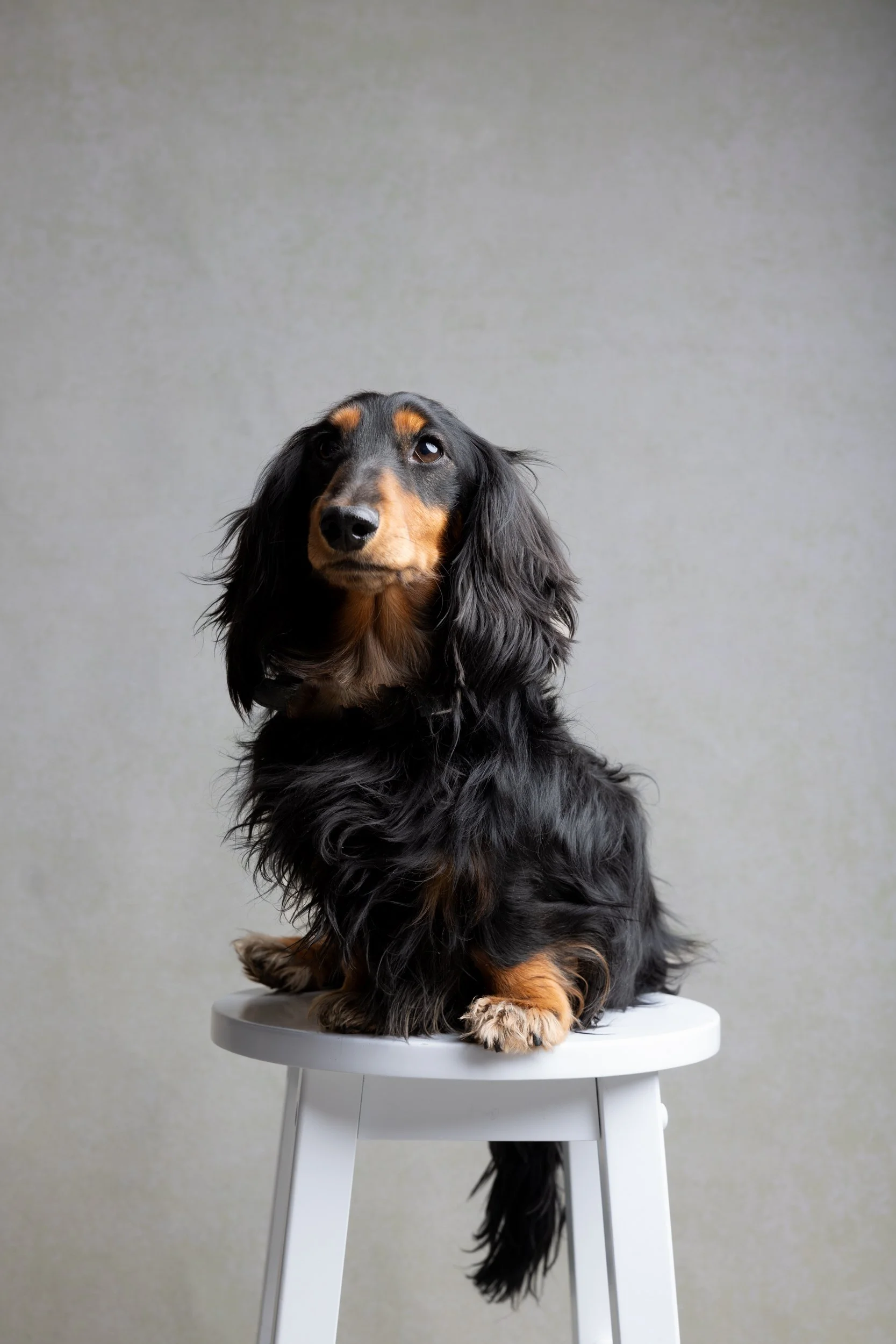 Portrait Party-4063.jpg