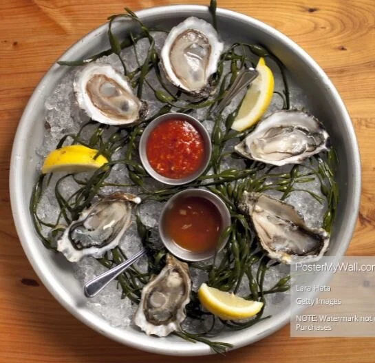 oyster 2.JPG