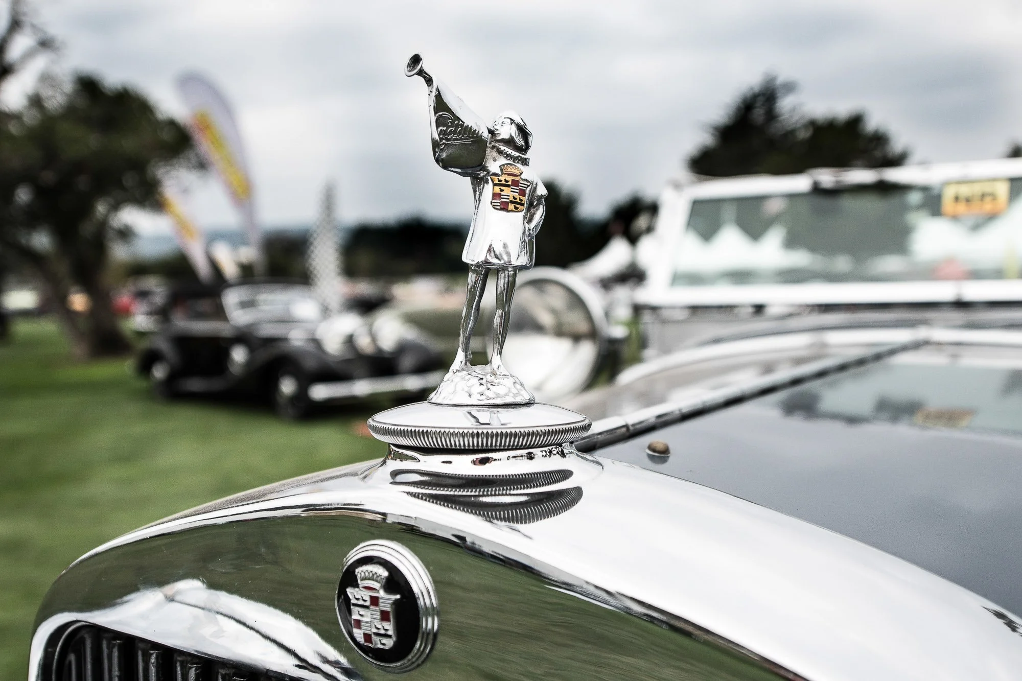 dpg_20180823-850_0252-25.jpg