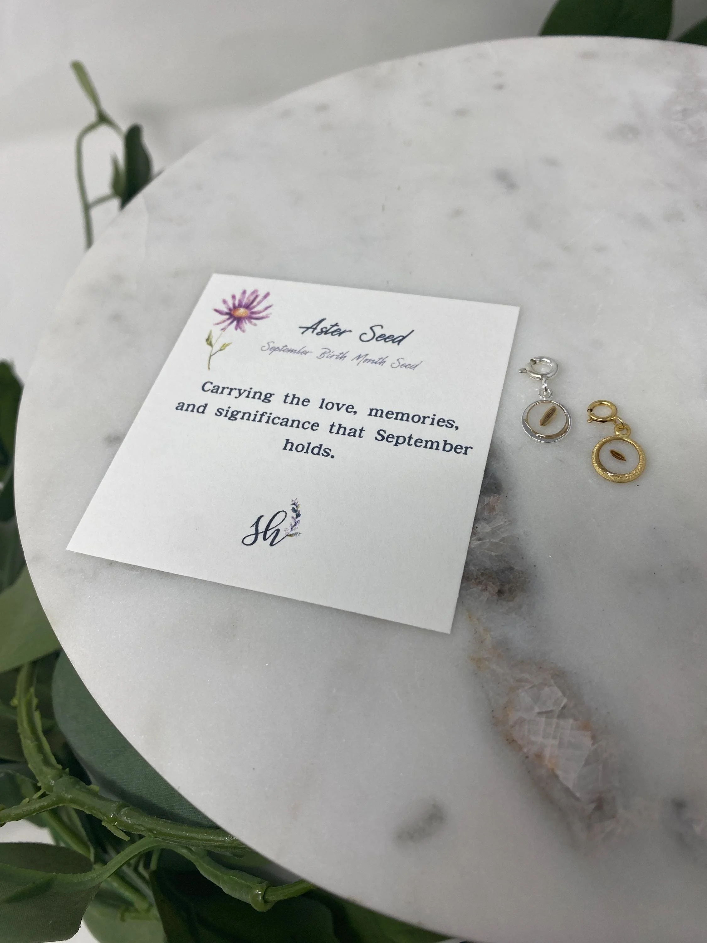 https://i.etsystatic.com/16711429/r/il/d8e71b/6454944848/il_fullxfull.6454944848_l52k.jpg