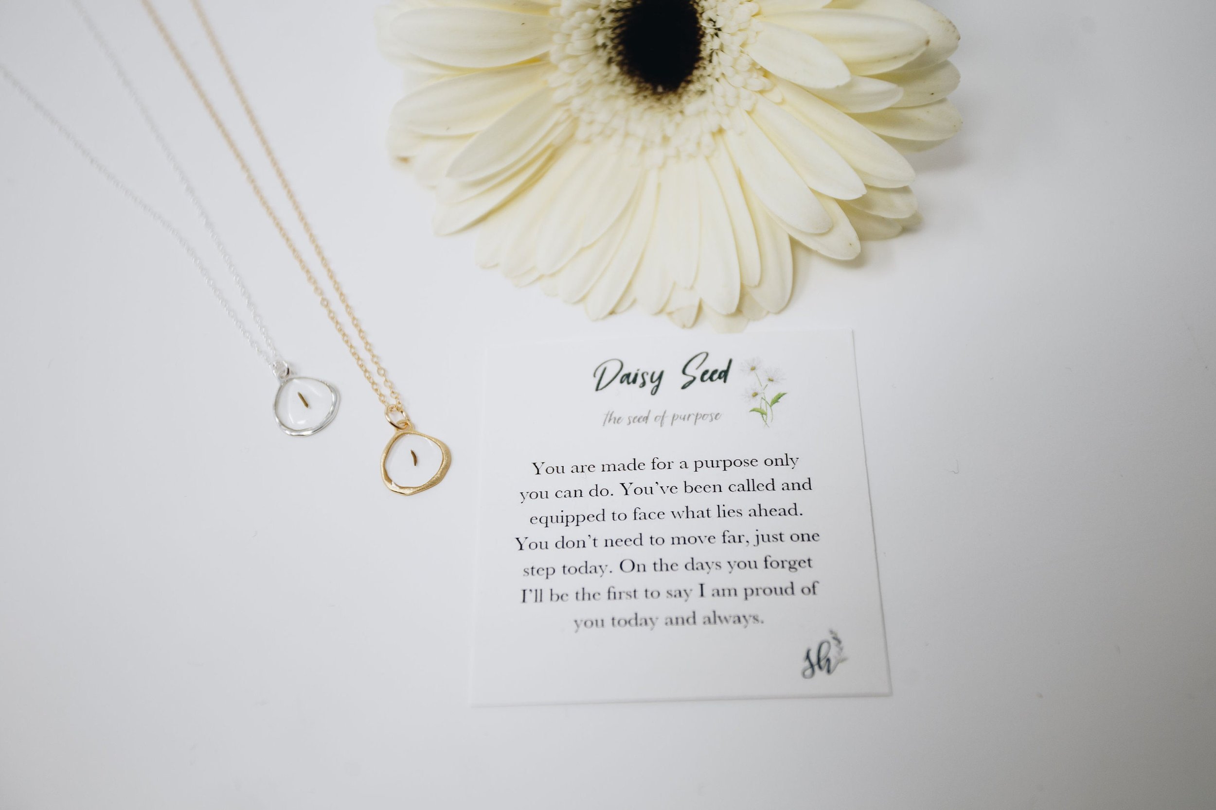 https://i.etsystatic.com/16711429/r/il/291782/1752596028/il_fullxfull.1752596028_l629.jpg