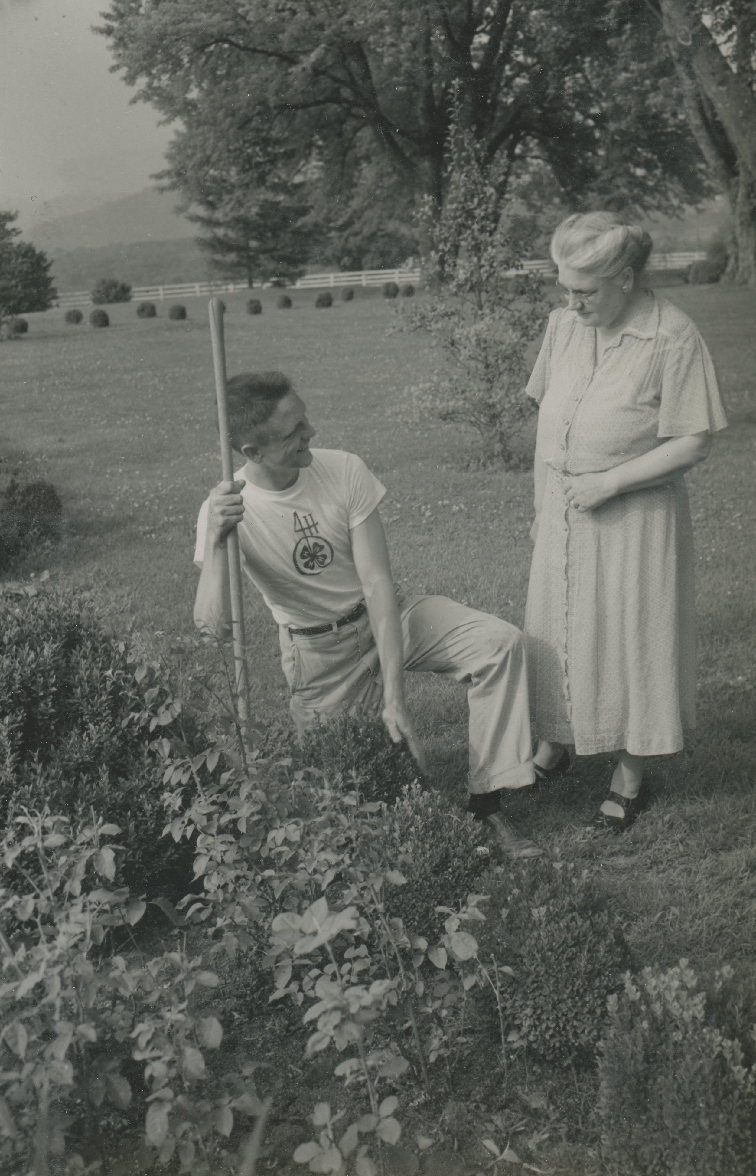 Plant science at the dinner table: peaches - 4-H Plants, Soils & Gardening