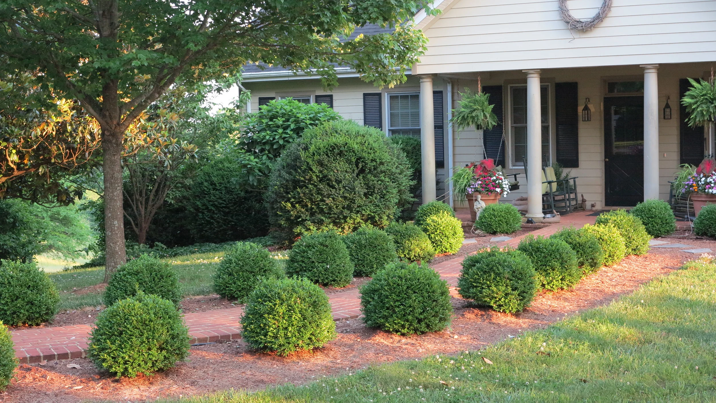 Introducing NewGen Freedom® and NewGen Independence® — NewGen™ Boxwood