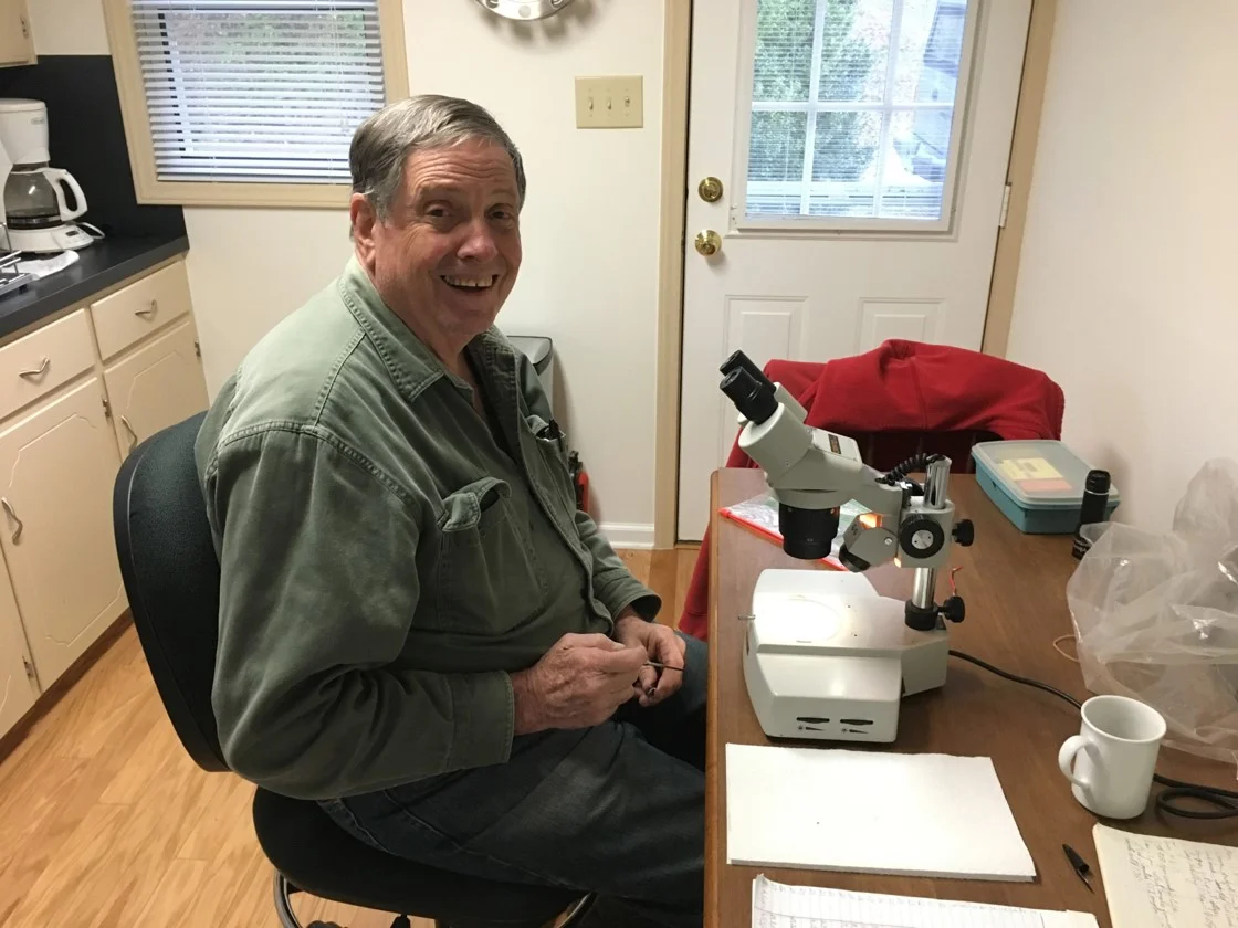 Bob Dunn, retired nematologist, working on Boxwood Leafminer research.