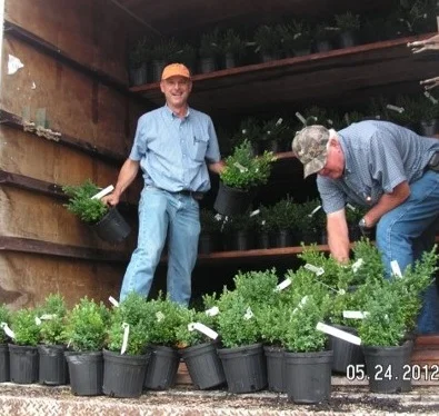 Bennett Saunders loading a truck with sample plants for NCSU trials.