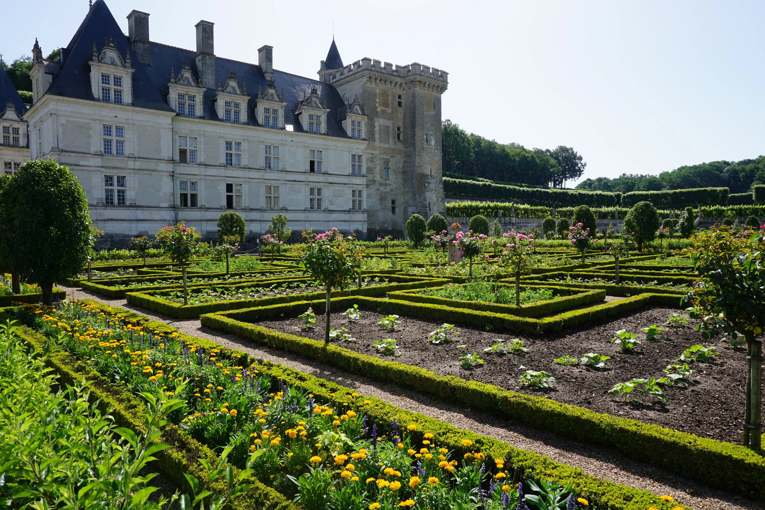 A stunning display of boxwood hedges at the Chateau de Villandry in France.