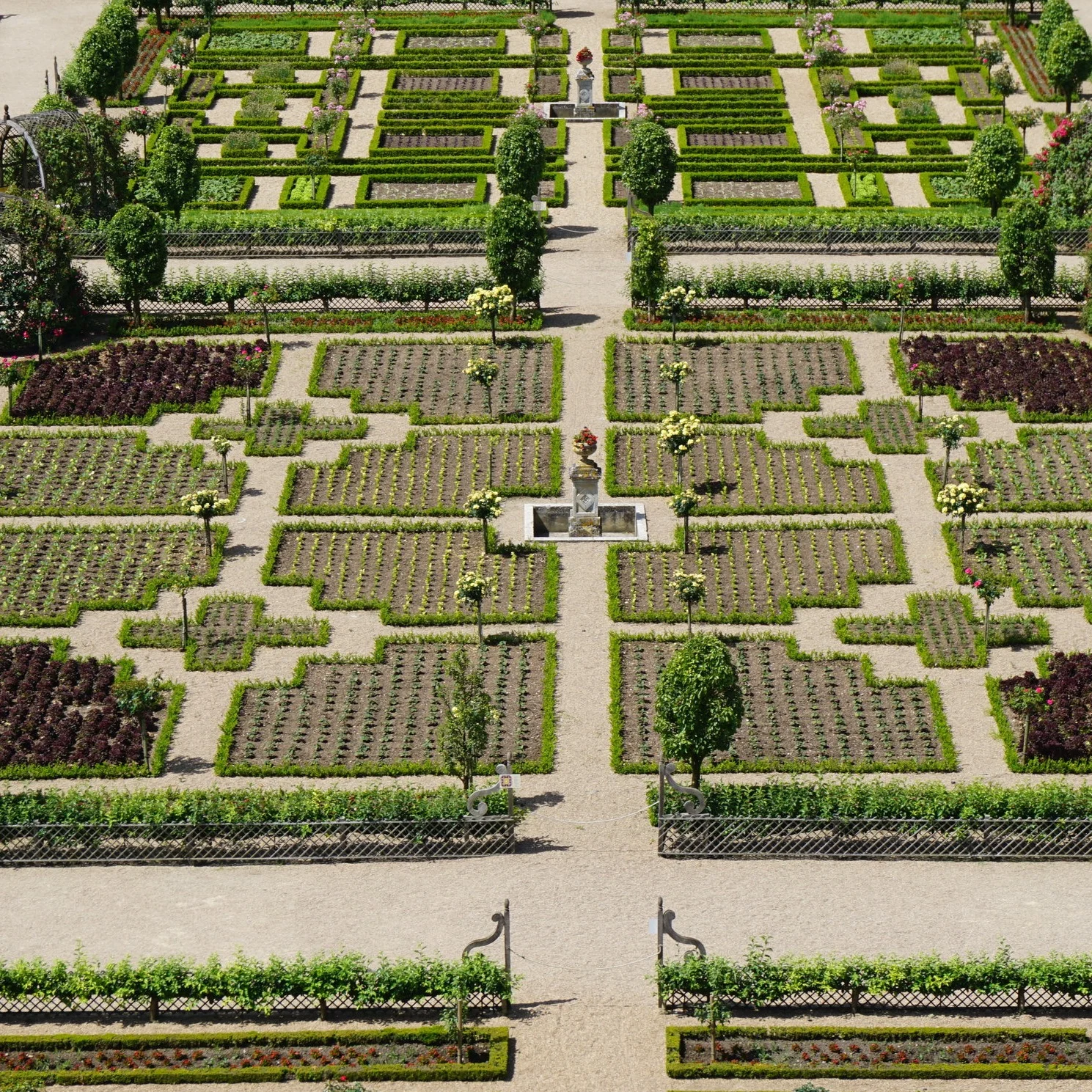 Boxwood gardens at the Chateau de Villandry.