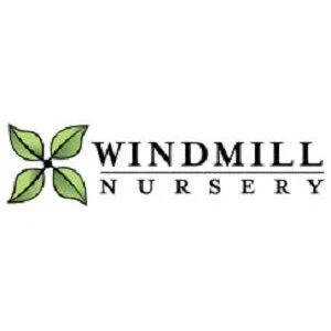 Windmill Nursery