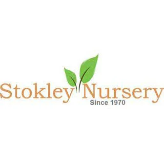 Stokley Nursery