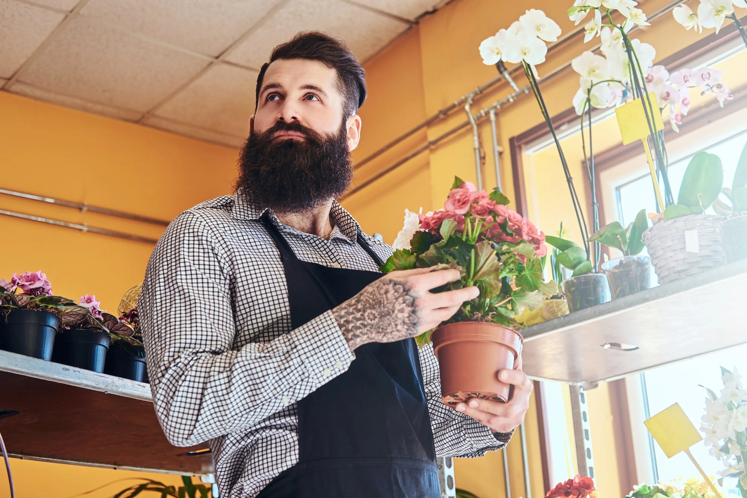 The Kitsap Small Business Marketing Survival Guide