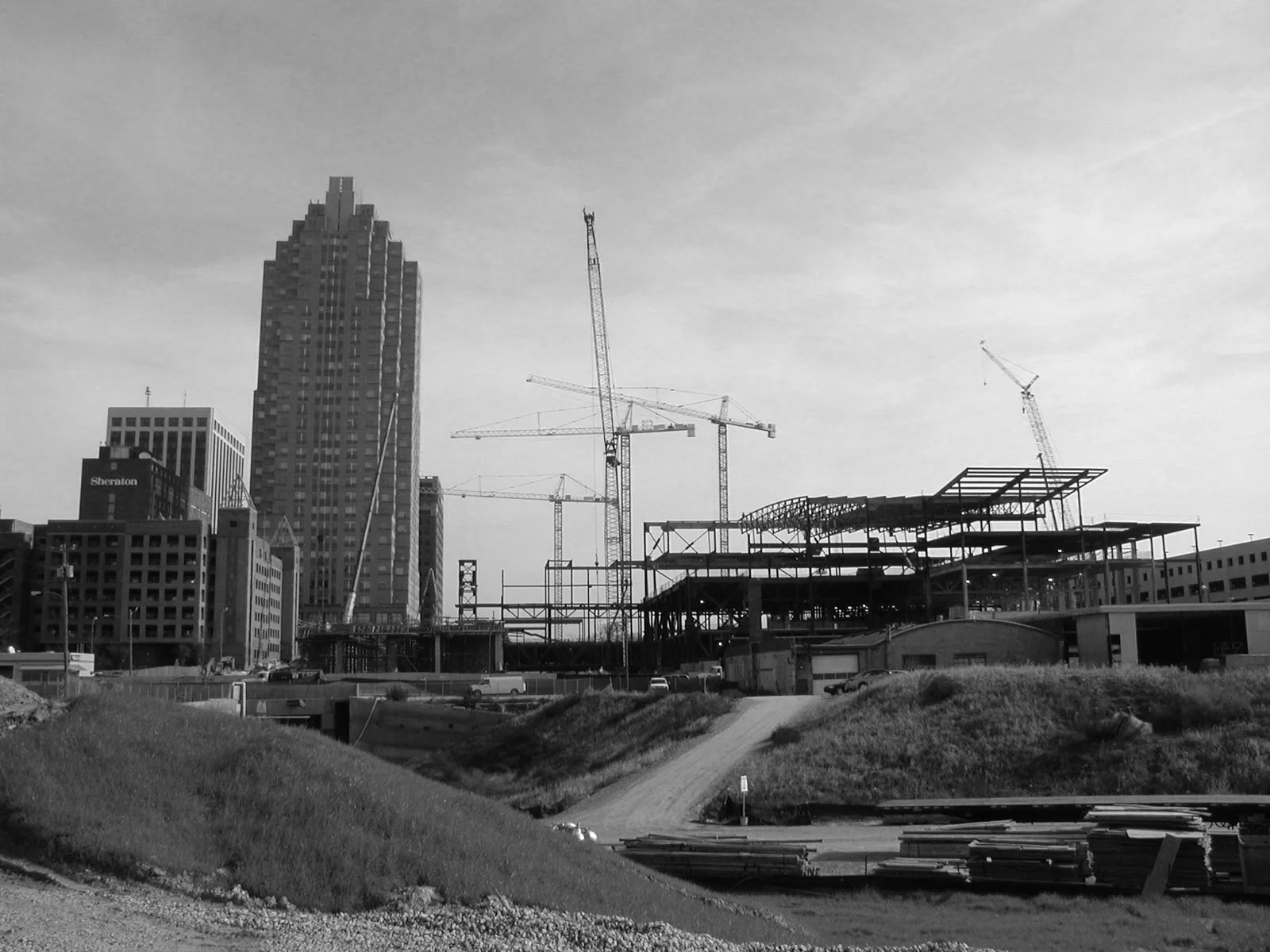 P1010001.jpg