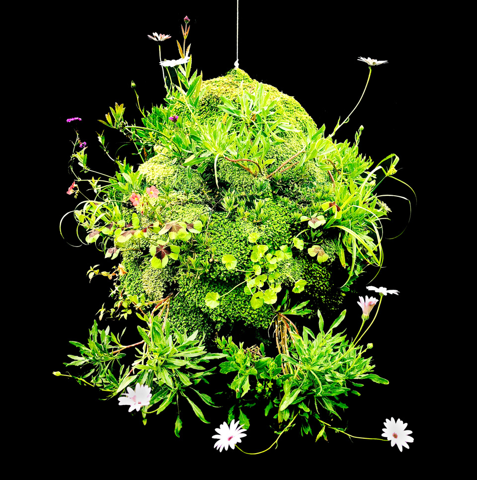 Blog-Sphere-1.jpeg