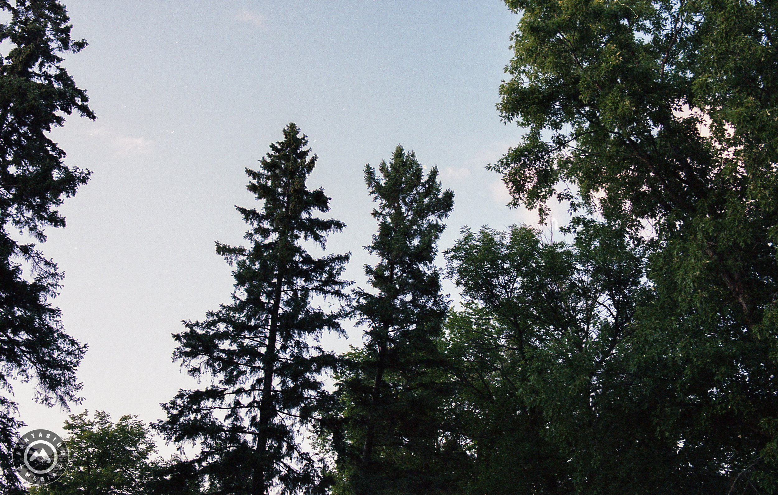 2020_BROS_CABIN_FILM-30.jpg