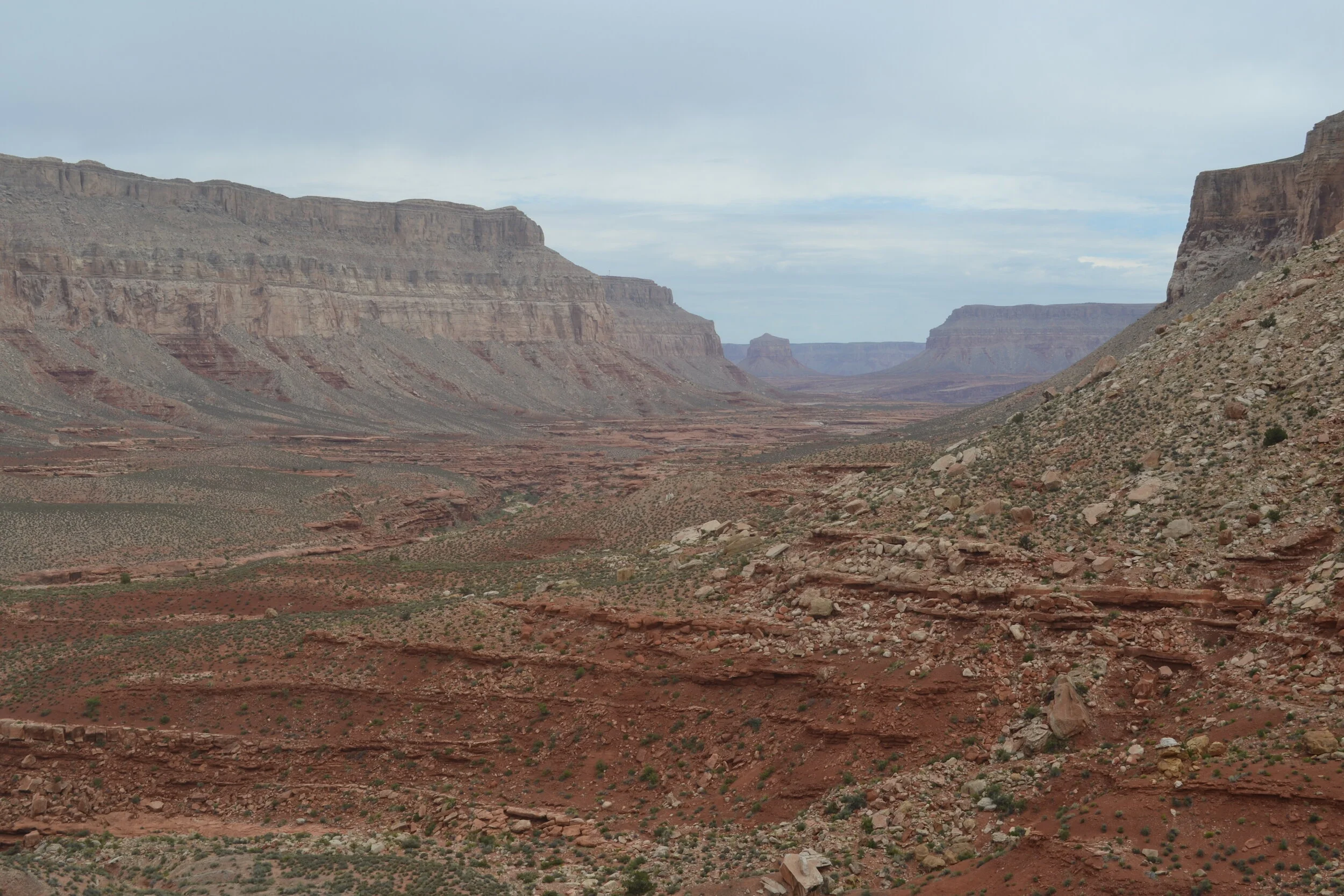 DSC_0175.jpg