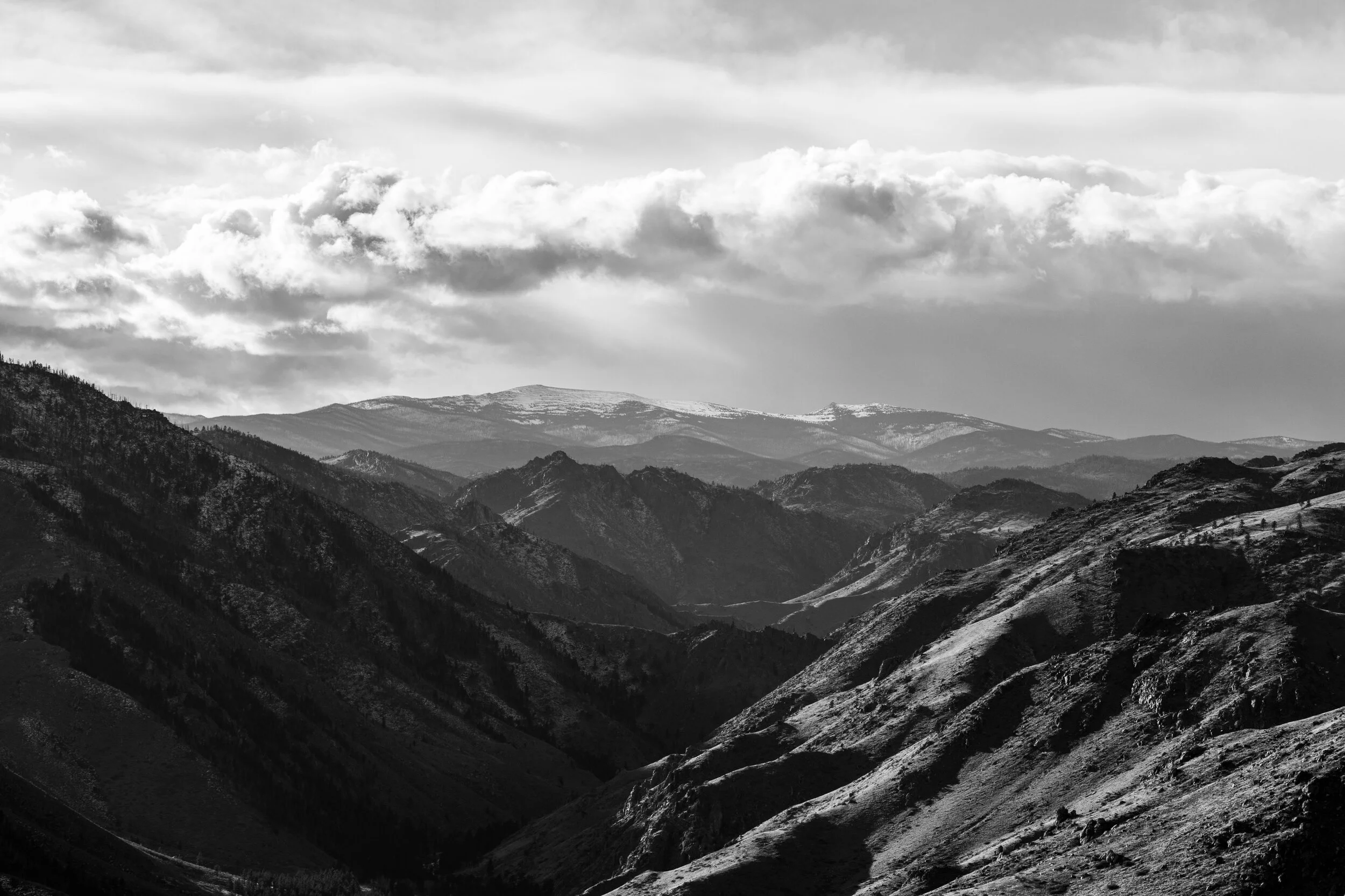 2020_DEC_COLORADO_CHRISTMAS-20.jpg