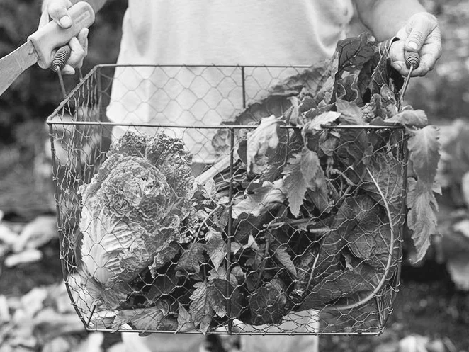 montana-gardening+copy.jpg