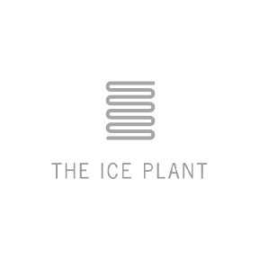ice plant copy.jpg