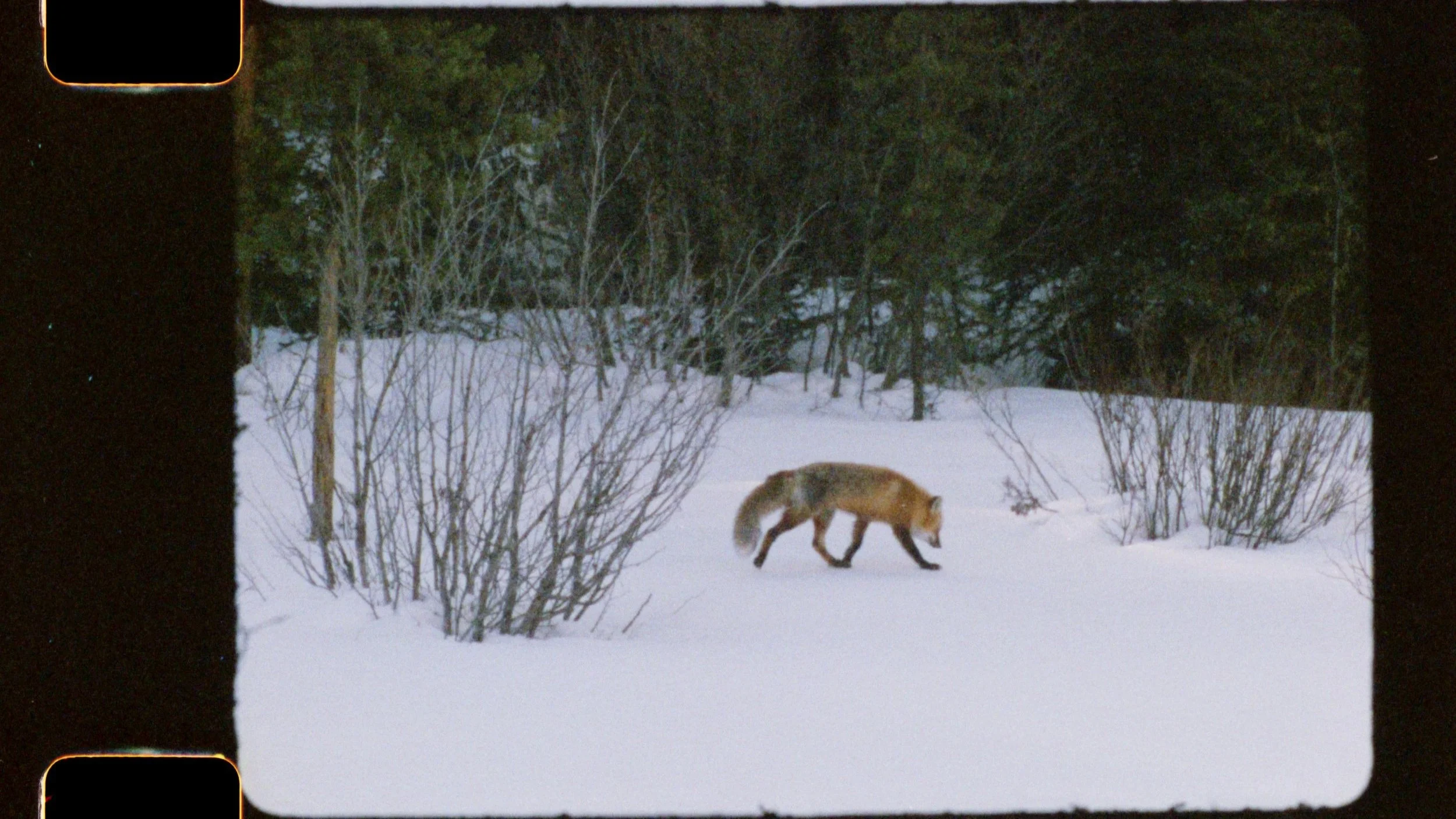 Sequence+01.00_17_38_02.Still036.jpg