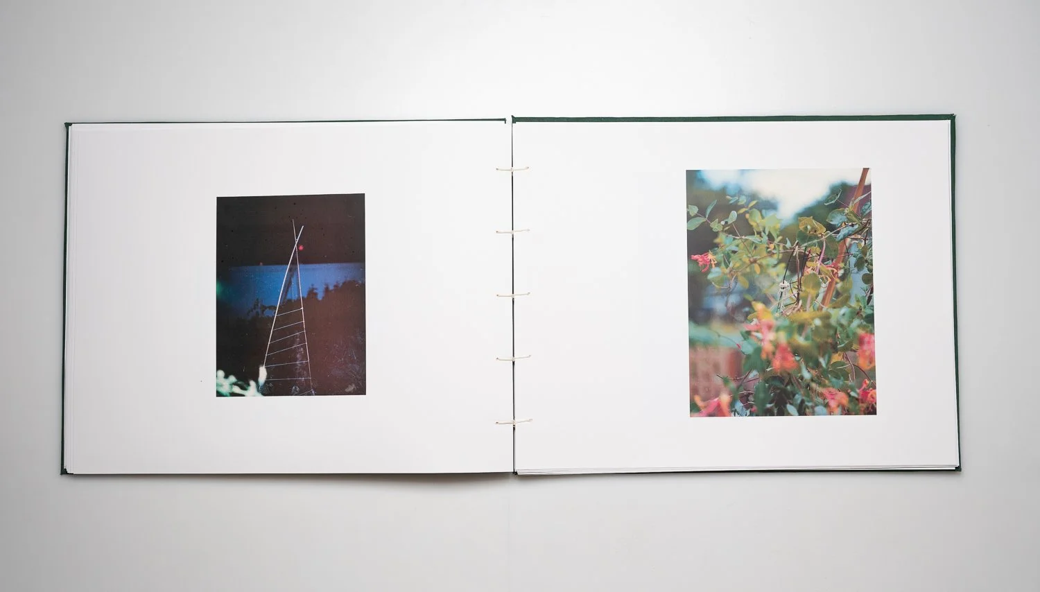 Matthew Crowther - Cut In Two 09.jpg