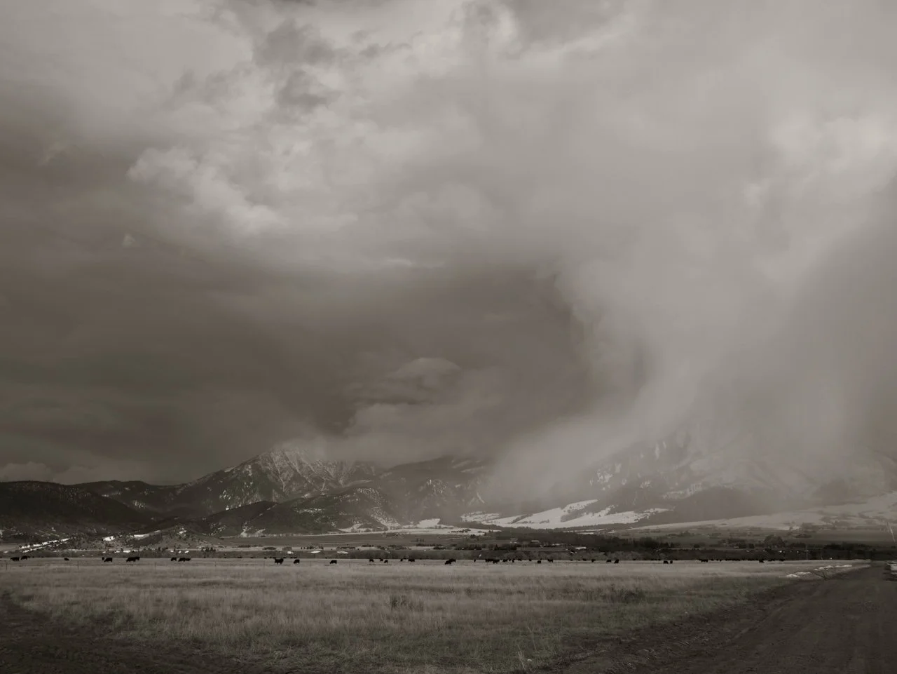 10_Diaz_Christina - Christina Diaz.jpeg