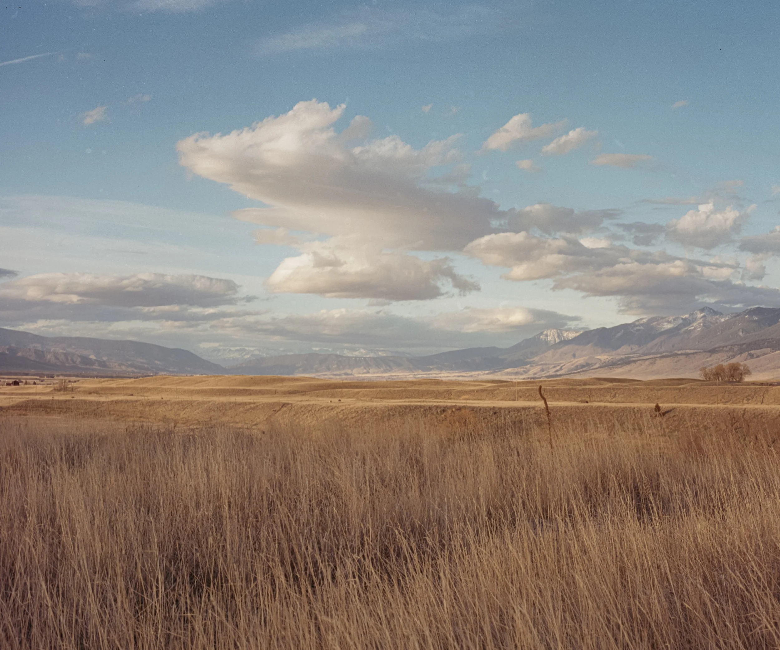 paradise valley-1 - Jason Rogers.JPG