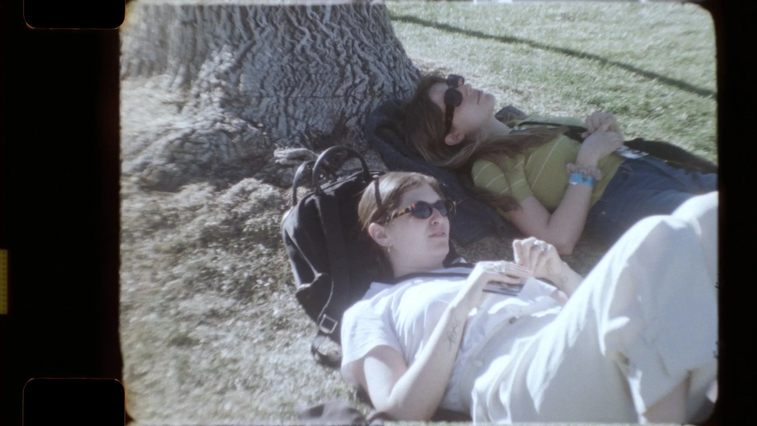 Lenz+16mm+ECN+25k+OS+0409a.mov.00_17_08_06.Still005+copy.jpg